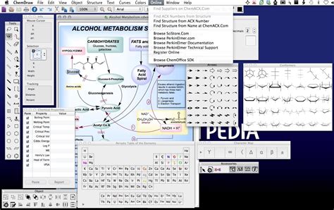 ChemDraw 2025 Cracked Download
